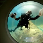 Michael at St. Louis Aquarium